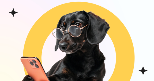 Ein schwarzer Dackel mit Sonnenbrille hält ein Smartphone in der Hand und schaut darauf. Der Hintergrund ist hell, hinter dem Hund ist ein gelber Halbkreis zu sehen.