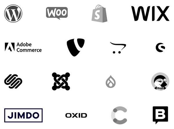 Integration with CMS platforms like WordPress and Wix
