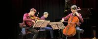 Members of the Serafin trio performing on stage