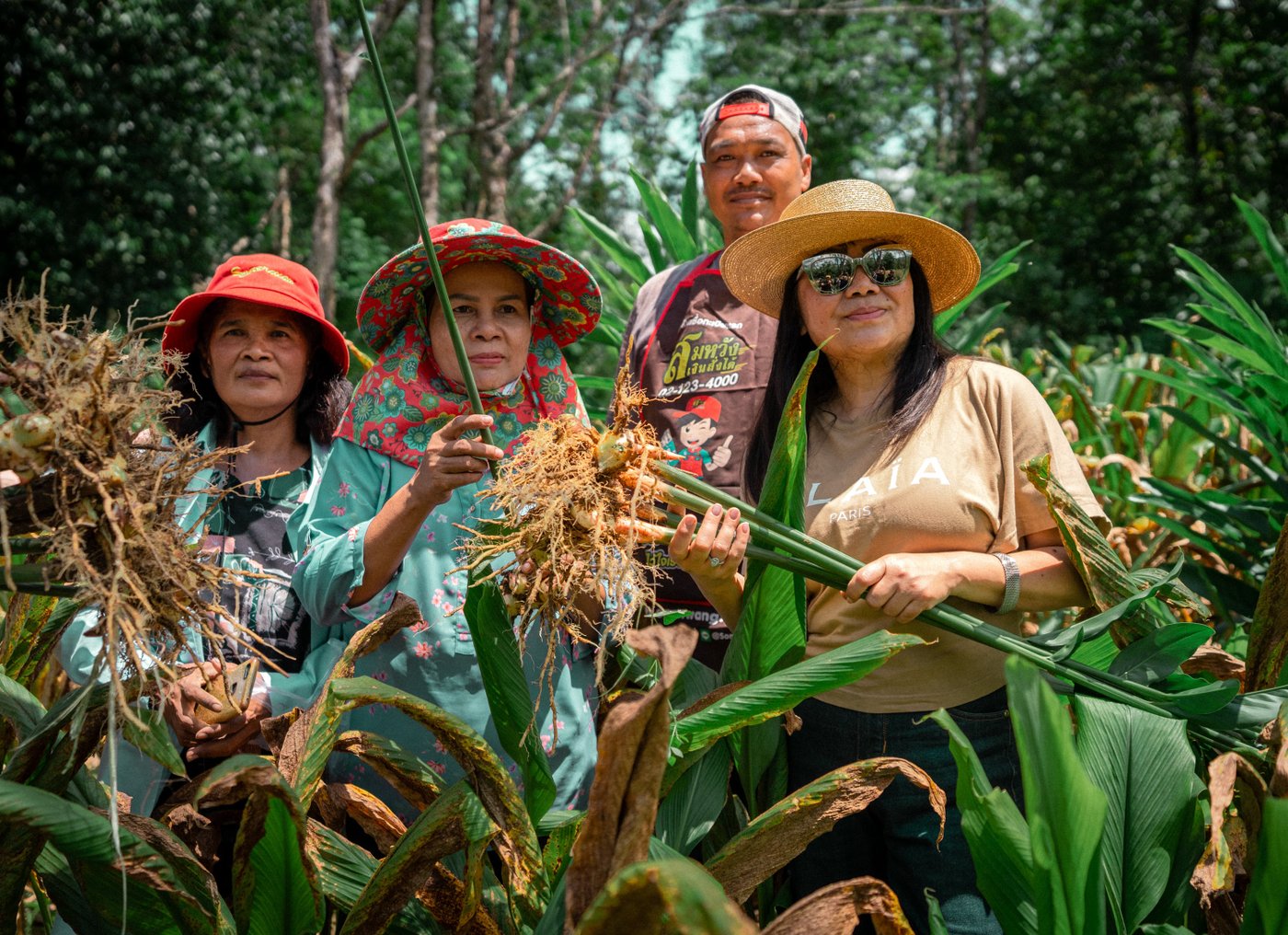 Four people in sun hats stand in a lush field, holding freshly harvested plants, surrounded by green foliage and trees in the background.