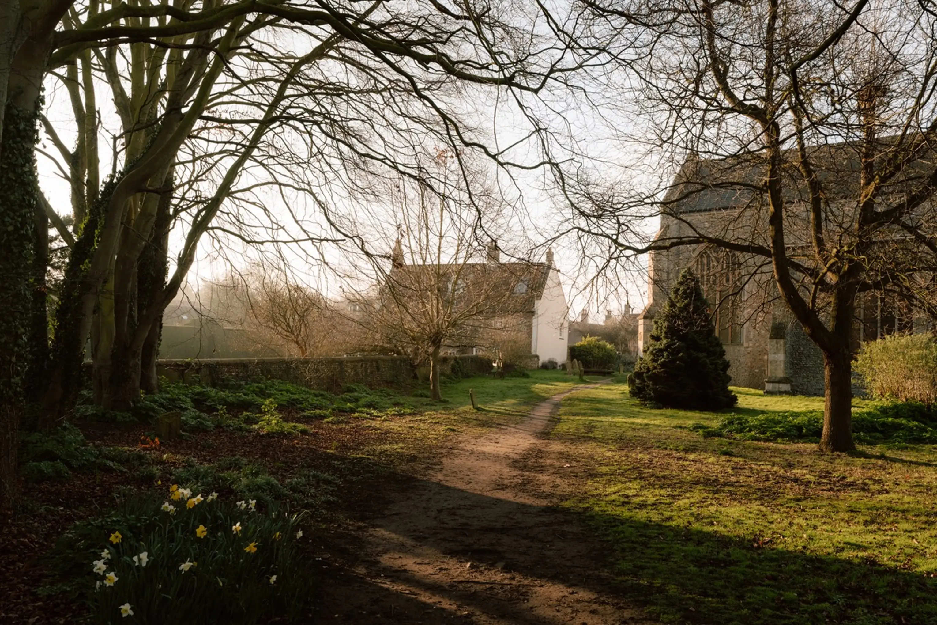 Grounds at ARC Next-the-Sea with a path, daffodils and the church tower in spring