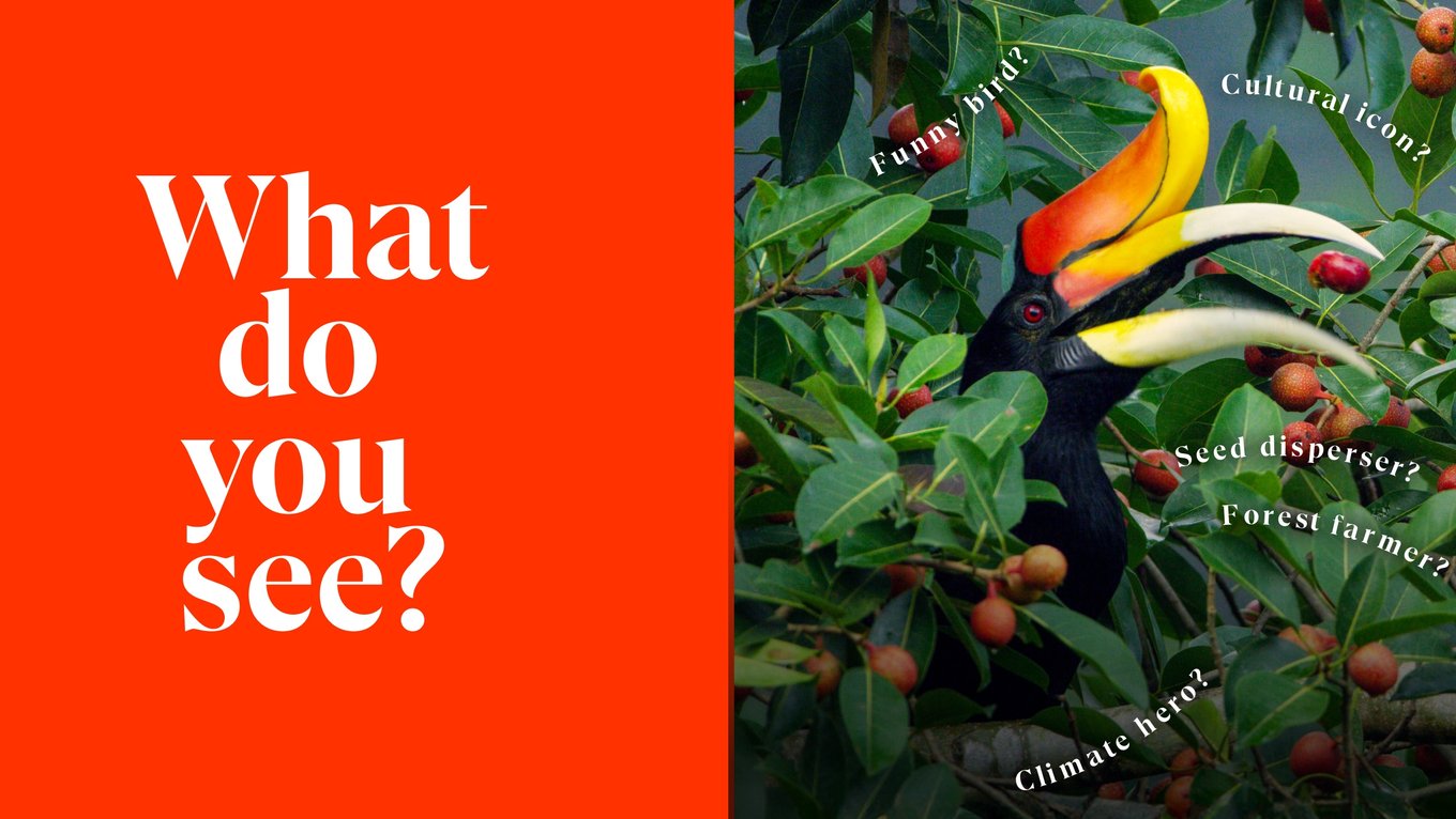 Where Wisdom Meets Wonder