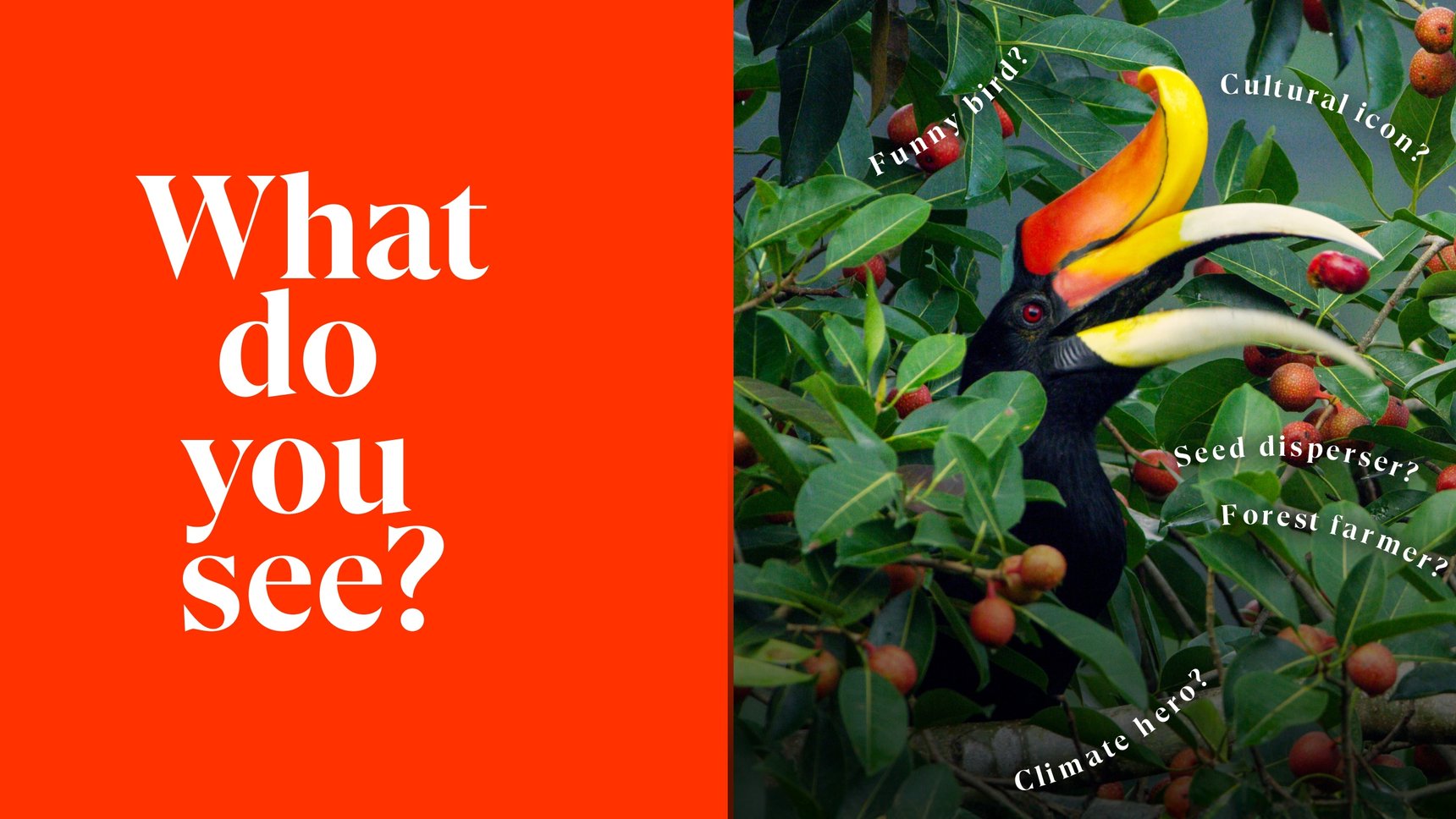 Where Wisdom Meets Wonder