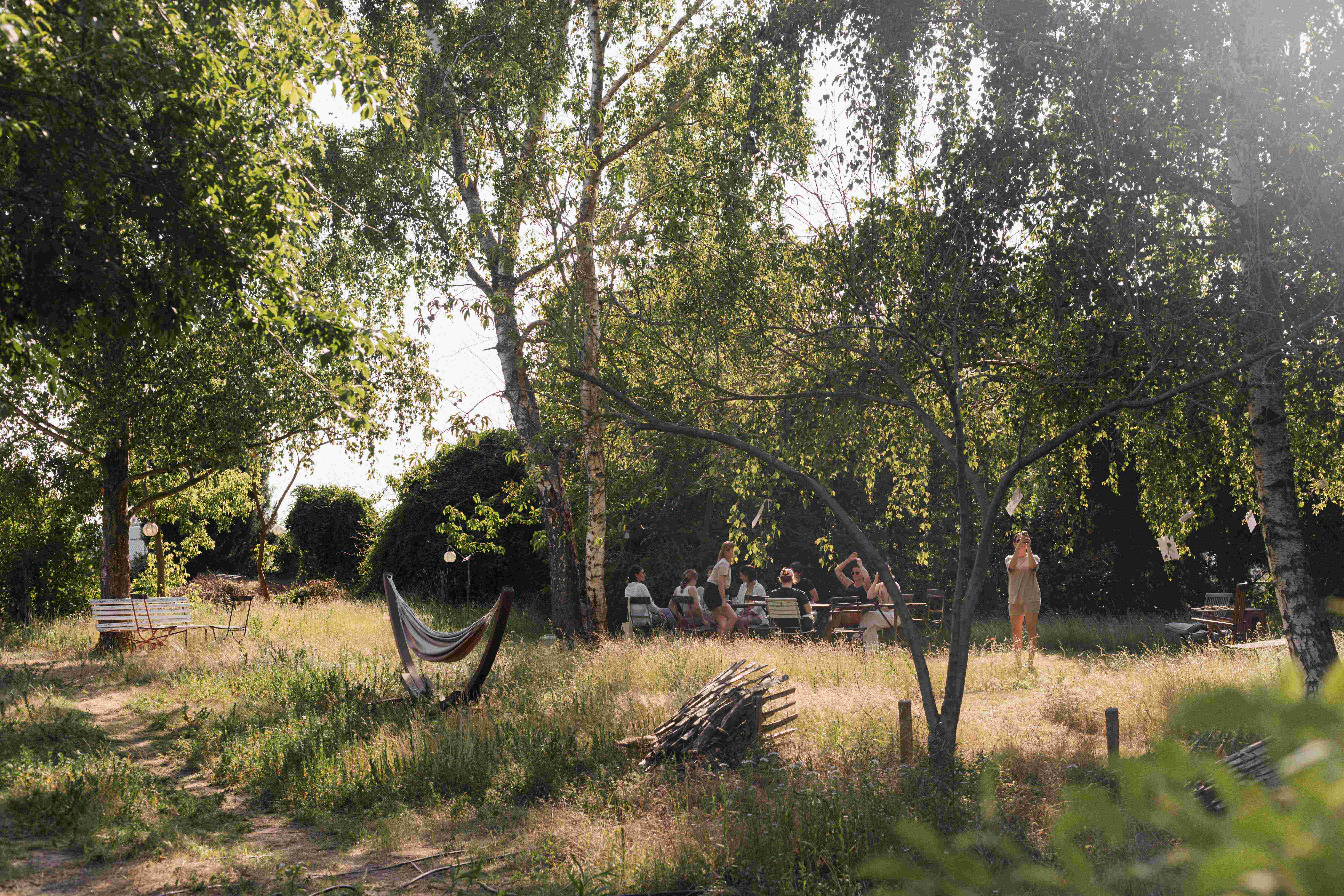 A serene outdoor scene with people sitting at tables under trees, surrounded by greenery and sunlight filtering through the leaves.