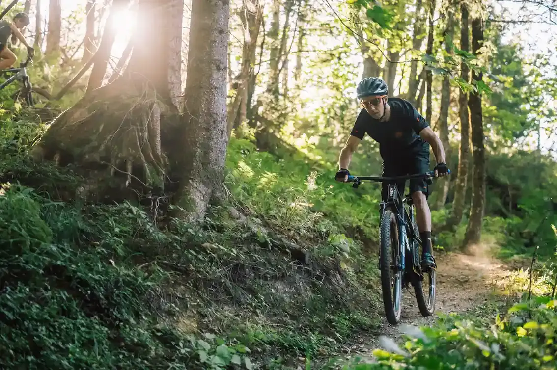 Mountainbiker auf einem hochwertigen KTM Fahrrad im Wald.