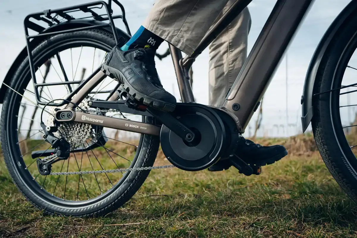 Detailbild: XXL Bike mit Gepäckträger in Fahrt.