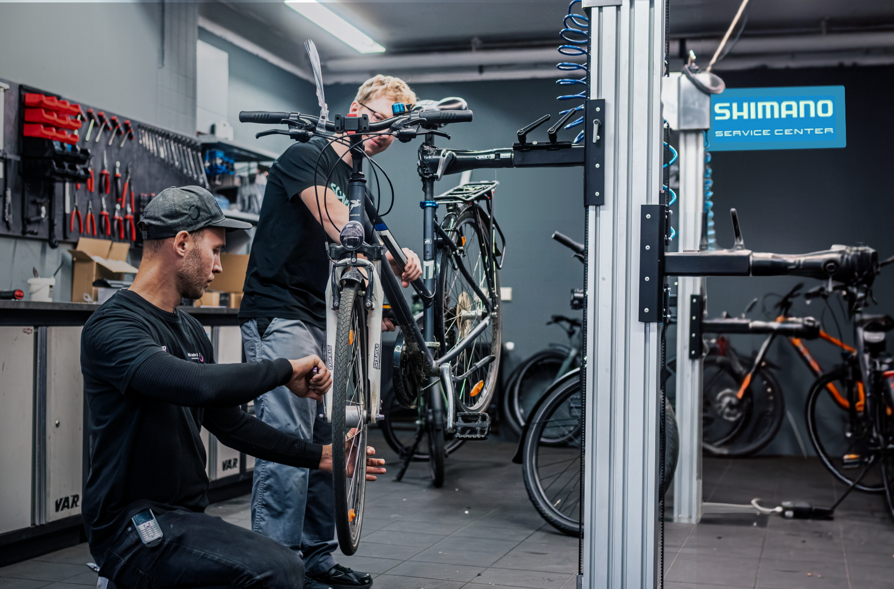 Fahrradservice mit zwei Mitarbeitern am aufgehängten Rad, dahinter Werkzeugwand und Schild „SHIMANO SERVICE CENTER
