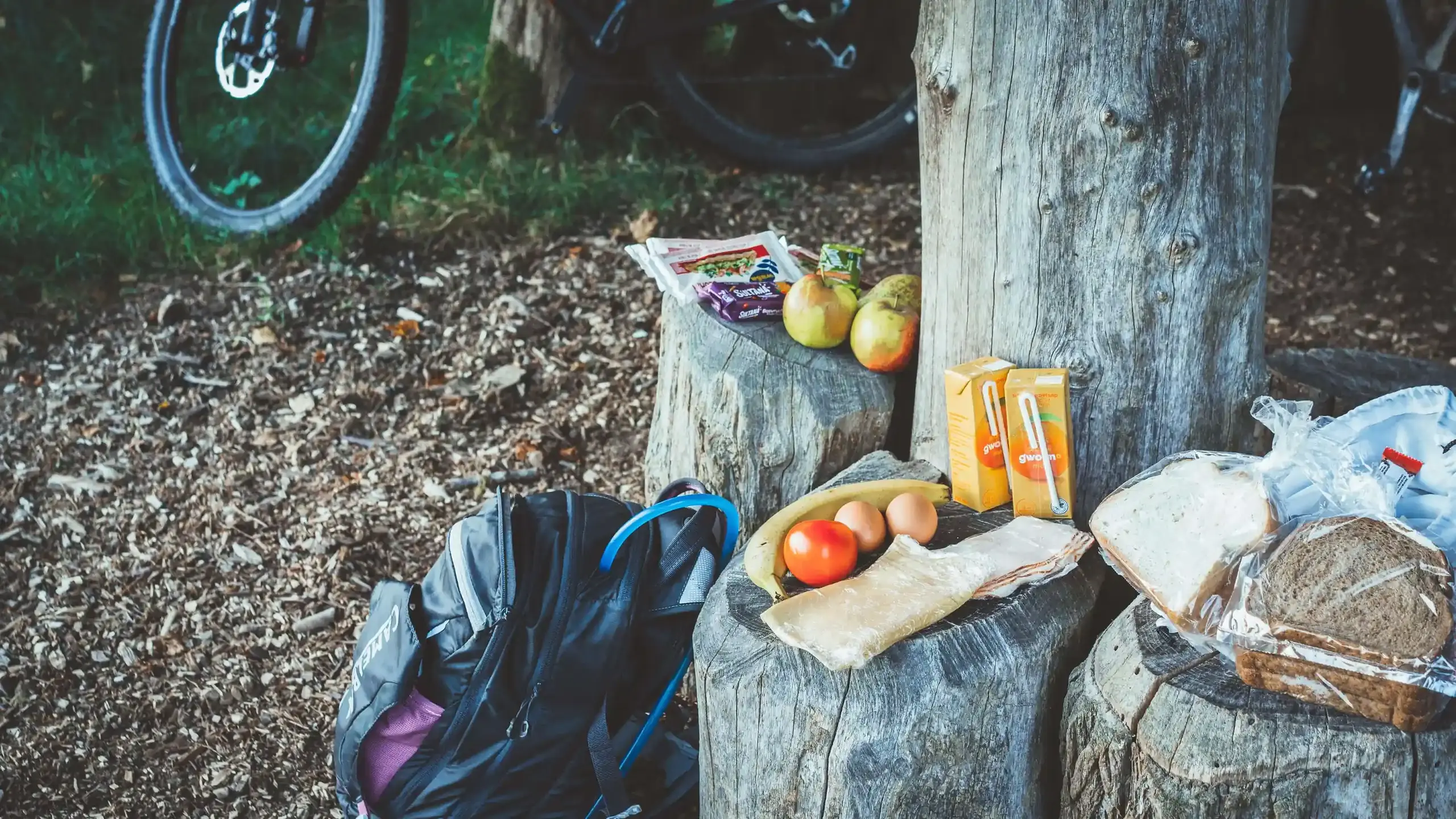 Picknick bei einer Fahrrad Tagestour: Frisches Obst, Gemüse und Brot liegen auf Baumstämmen im Wald.