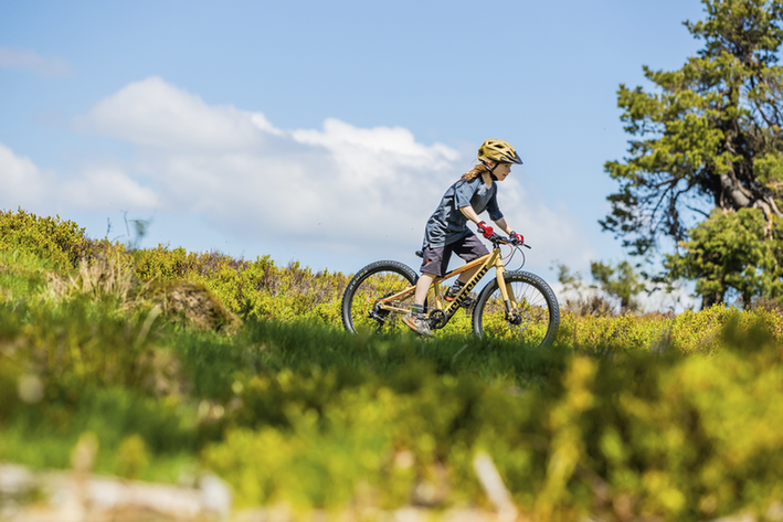Person faehrt auf einem Mountainbike durch eine gruene Landschaft
