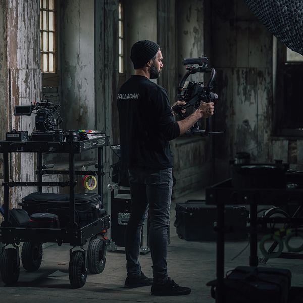 Project for Palladian