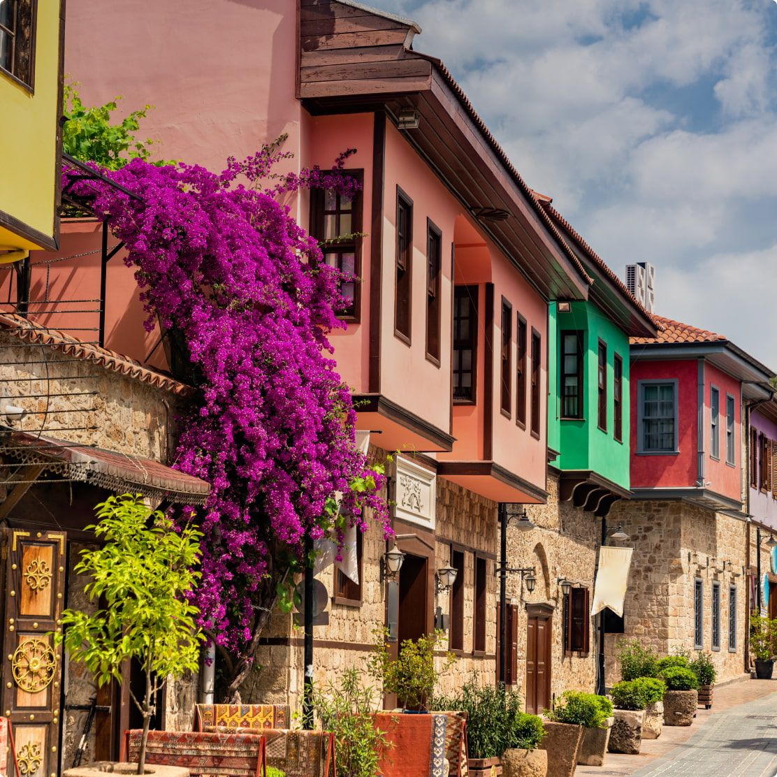 Bright purple flower trailing down colourful houses in Antalya