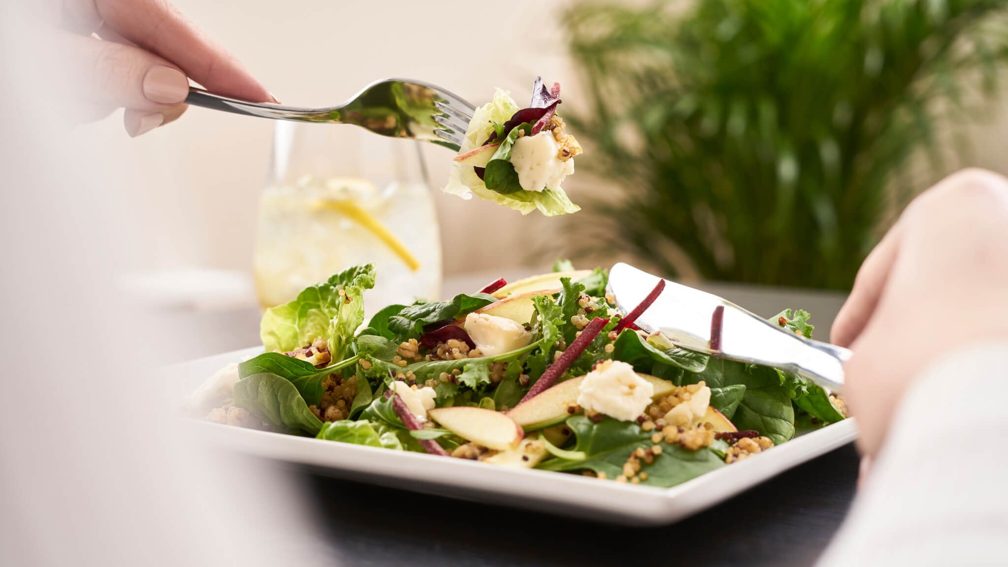 someone eating a plate of salad