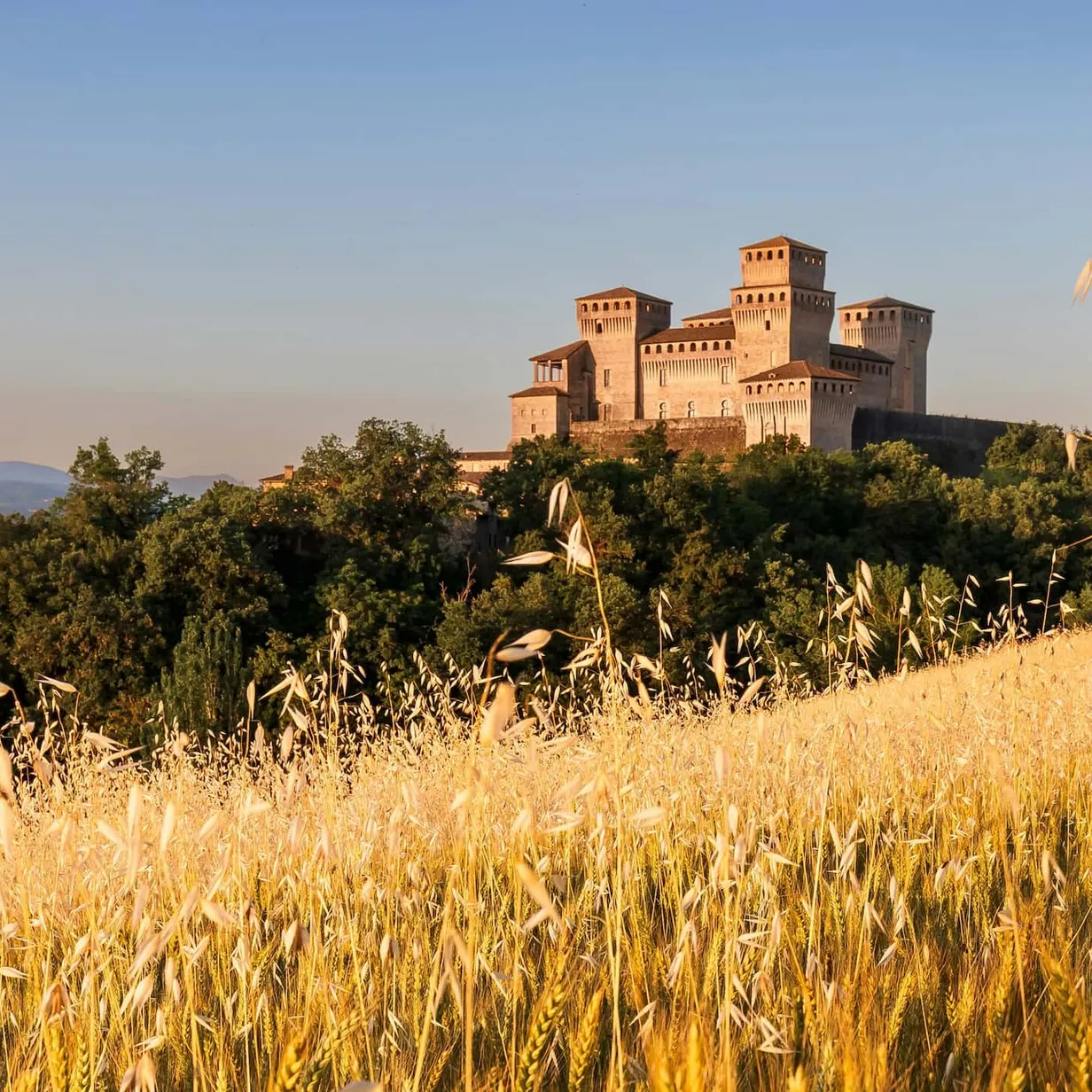 A medieval castle sits atop a hill, surrounded by lush greenery and a golden wheat field under a clear blue sky.