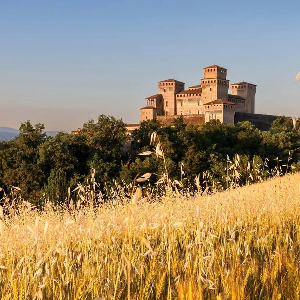 A medieval castle sits atop a hill, surrounded by lush greenery and a golden wheat field under a clear blue sky.