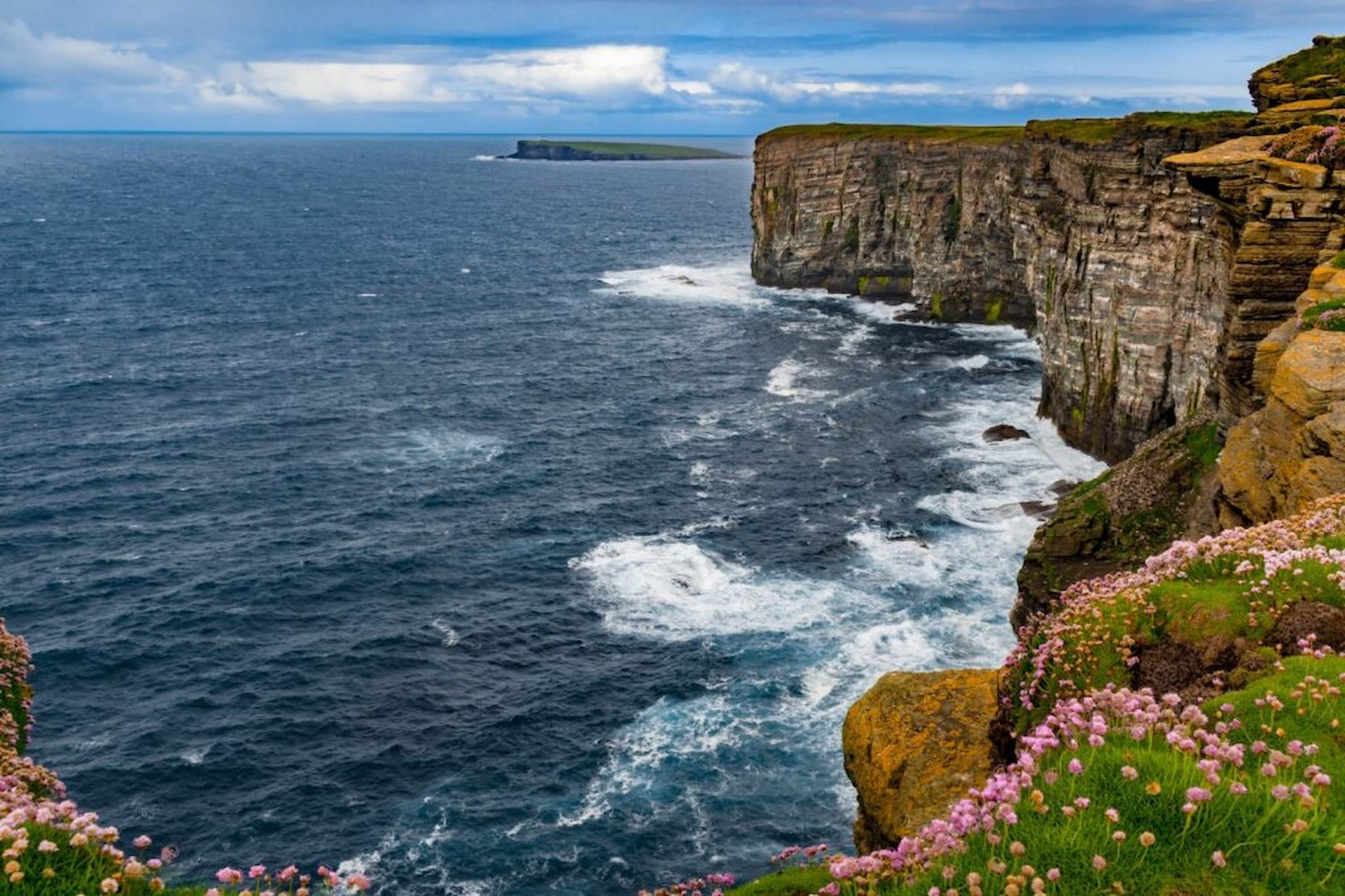 Coastal cliffs with rugged, layered rocks overlook a turbulent ocean, surrounded by blooming wildflowers under a partly cloudy sky.