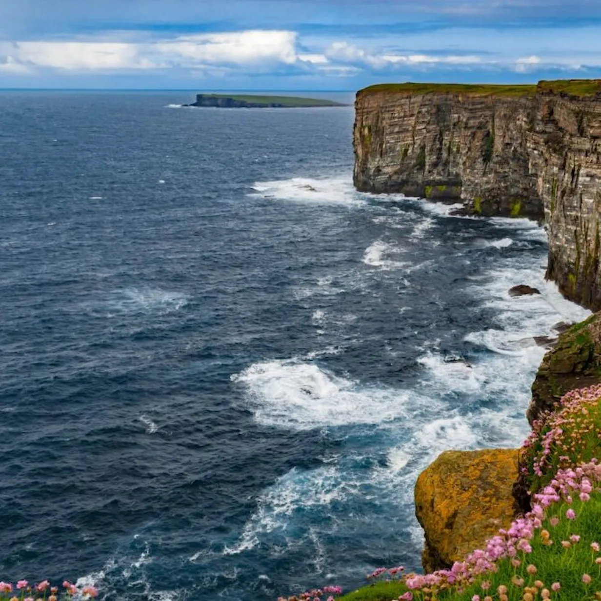 Coastal cliffs with rugged, layered rocks overlook a turbulent ocean, surrounded by blooming wildflowers under a partly cloudy sky.