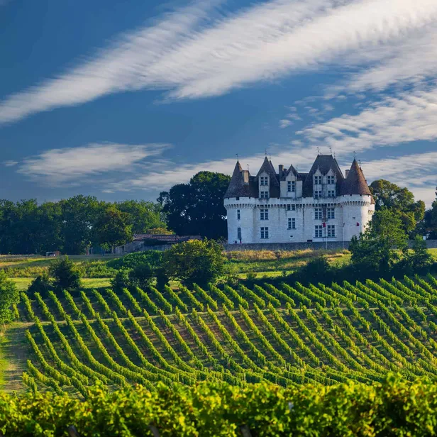 A castle sits atop a hill surrounded by lush vineyards under a sky with streaked clouds.