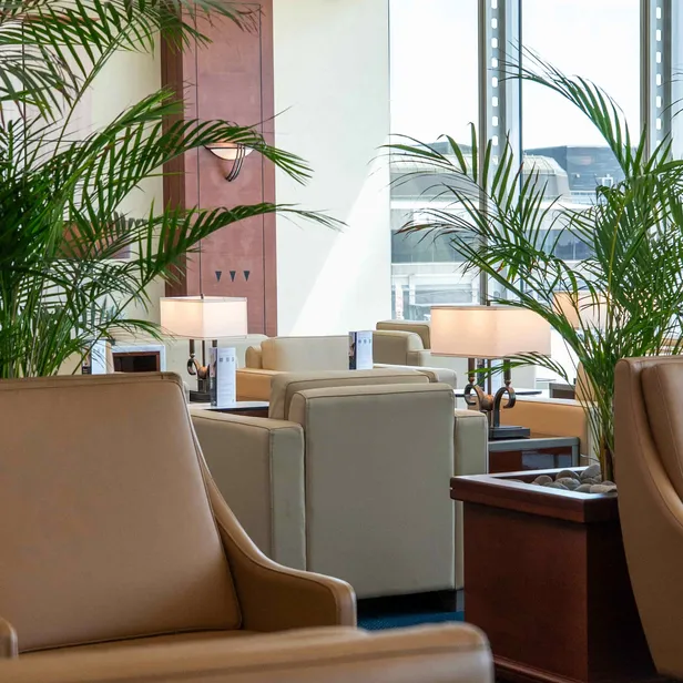 Airport lounge with beige leather chairs, potted green plants, and soft lighting from table lamps. Large windows in the background.