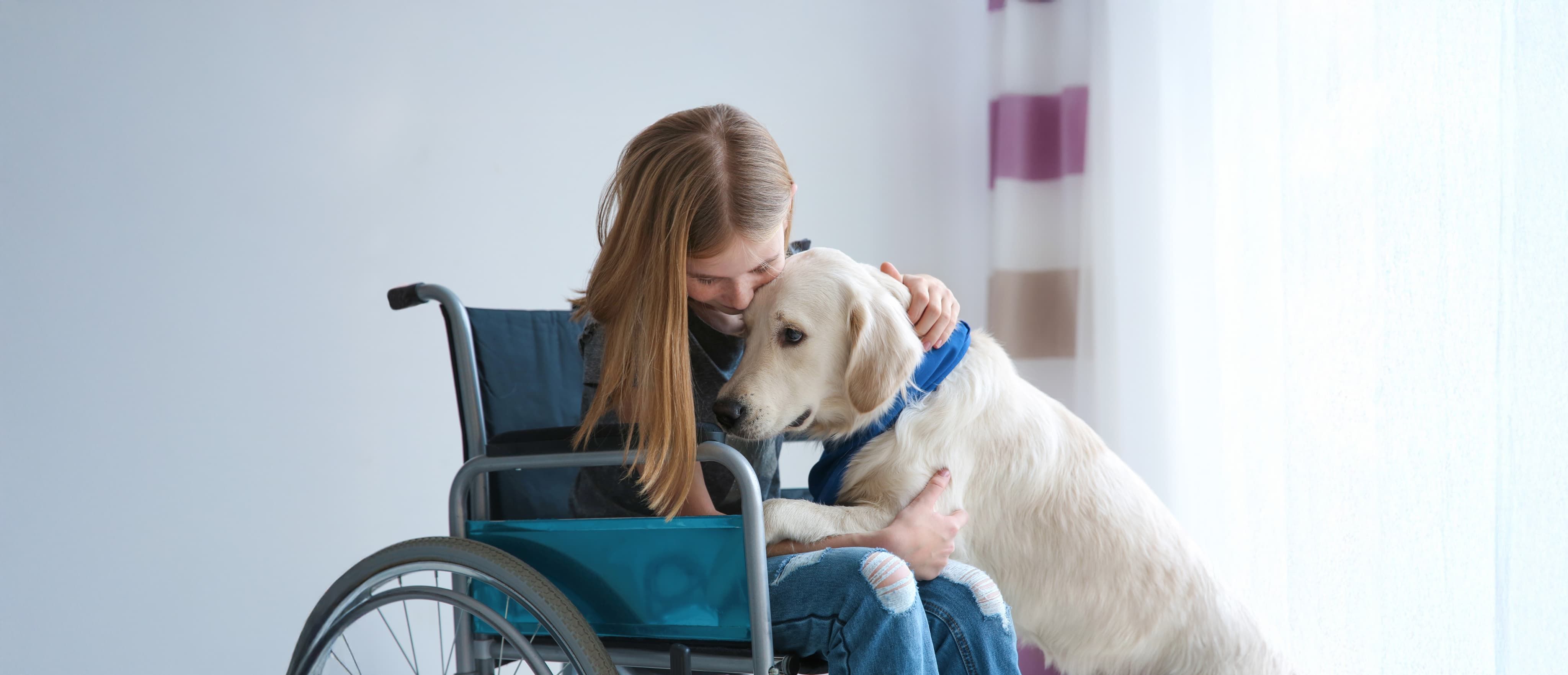 Little girl in wheelchair stroking dog