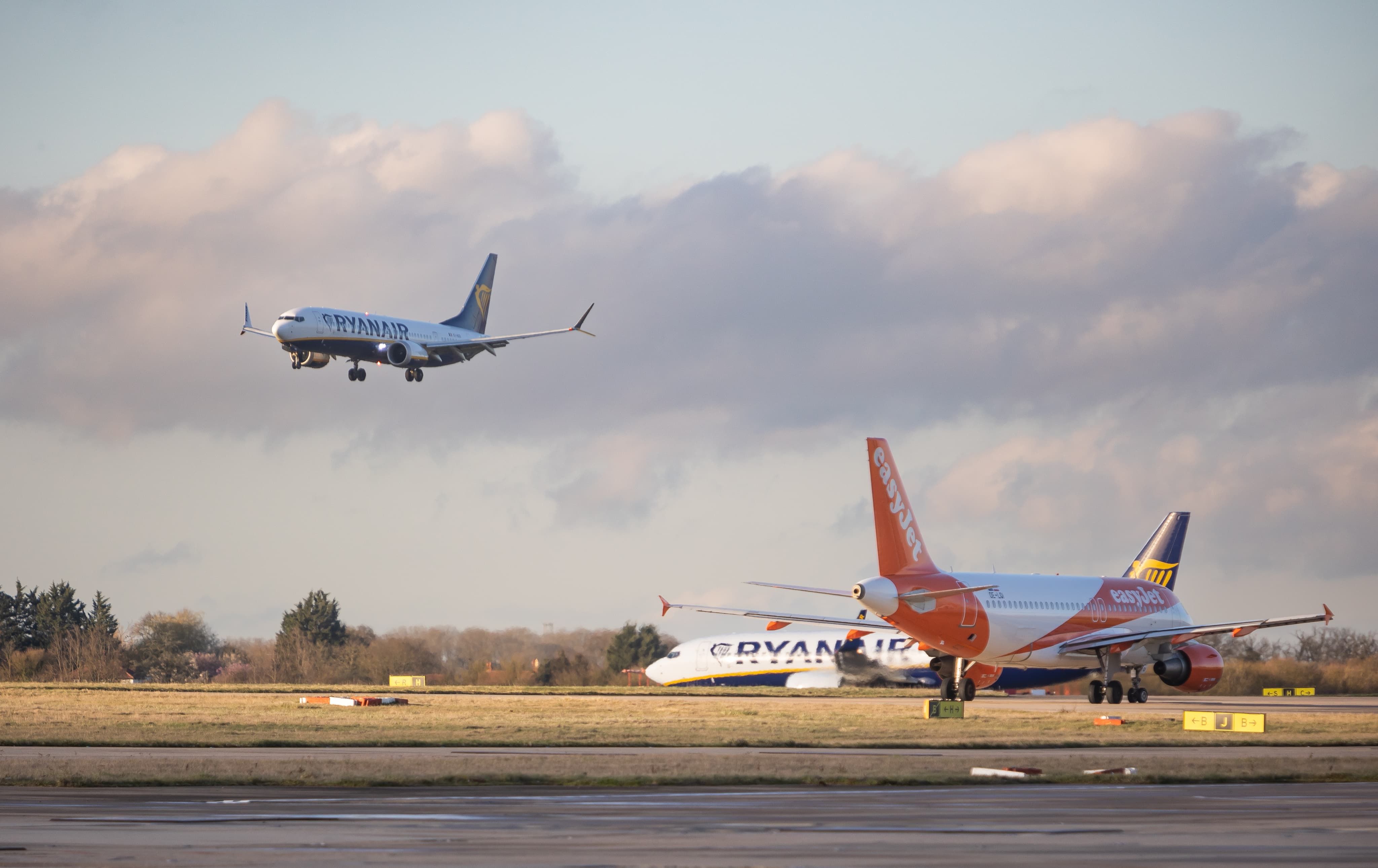 Plane coming in to land on runway