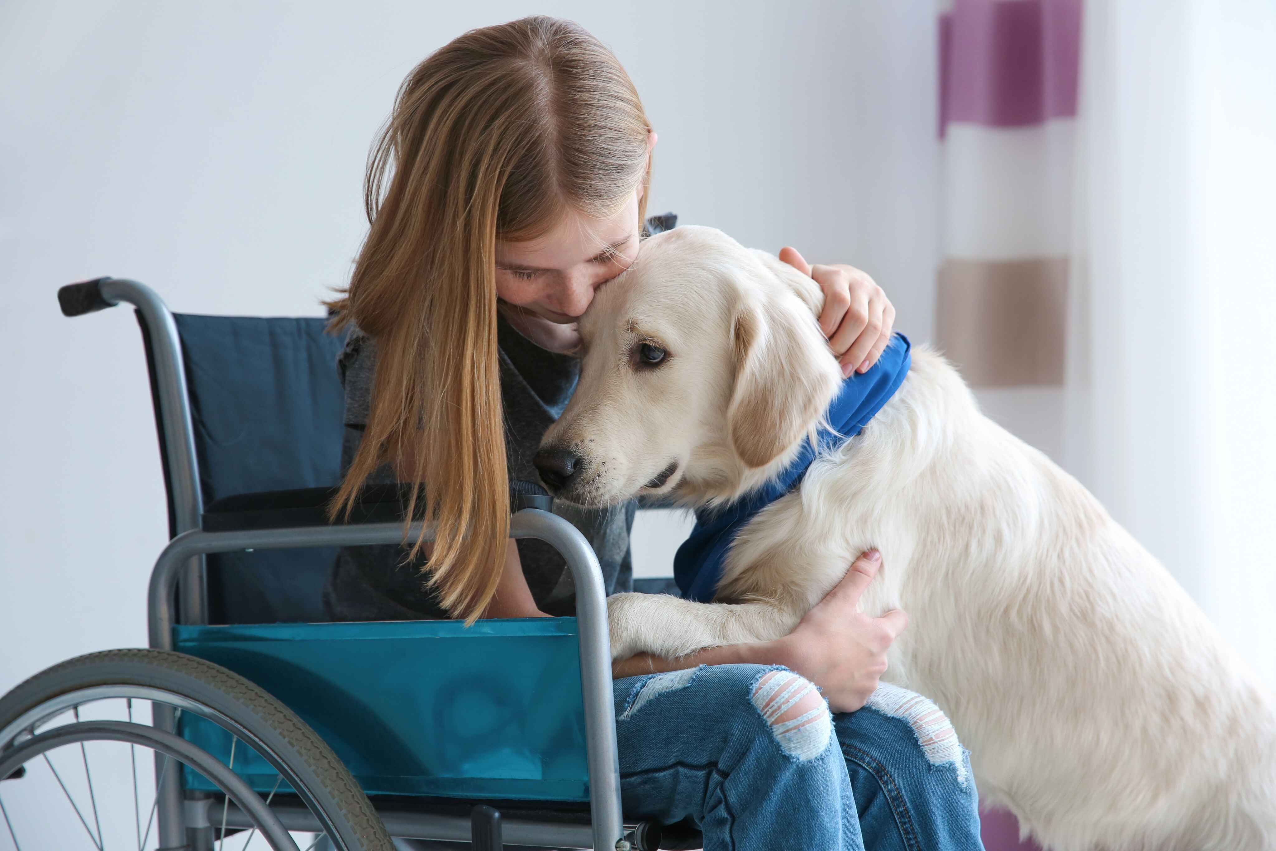 person in wheelchair with assistance dog