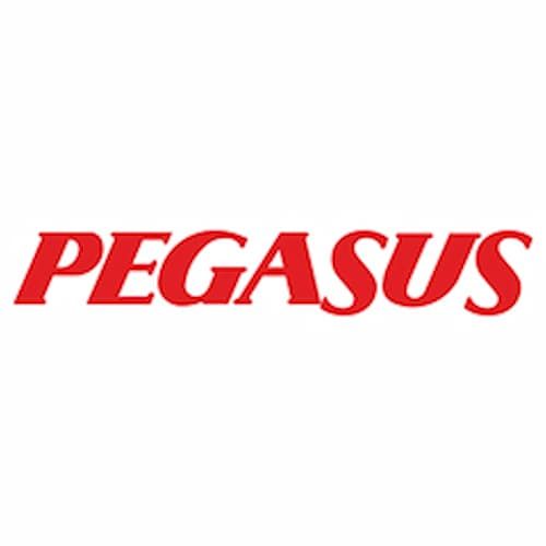 Red "PEGASUS" text on a white background in bold, italicised font.