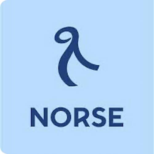 Blue logo with a stylized, abstract symbol above the word "NORSE." The background is light blue with rounded corners.