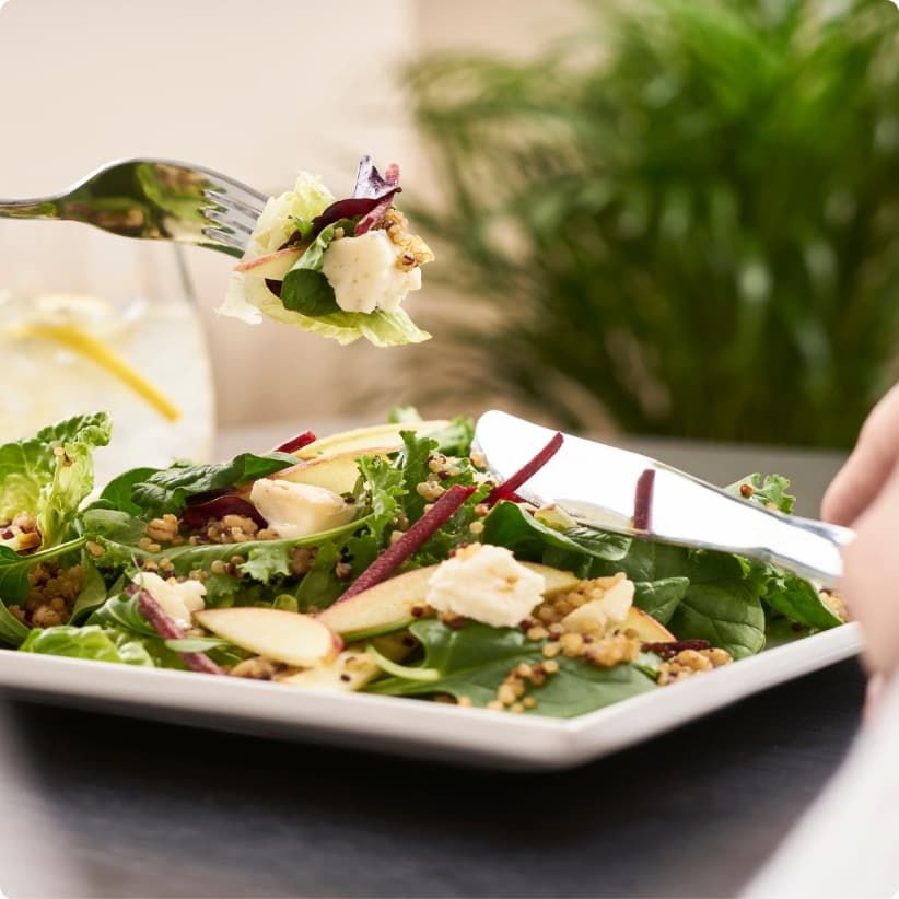 A fresh salad with greens, sliced apples, cheese, and quinoa on a white plate. A person is holding a fork and knife. A plant in the background.